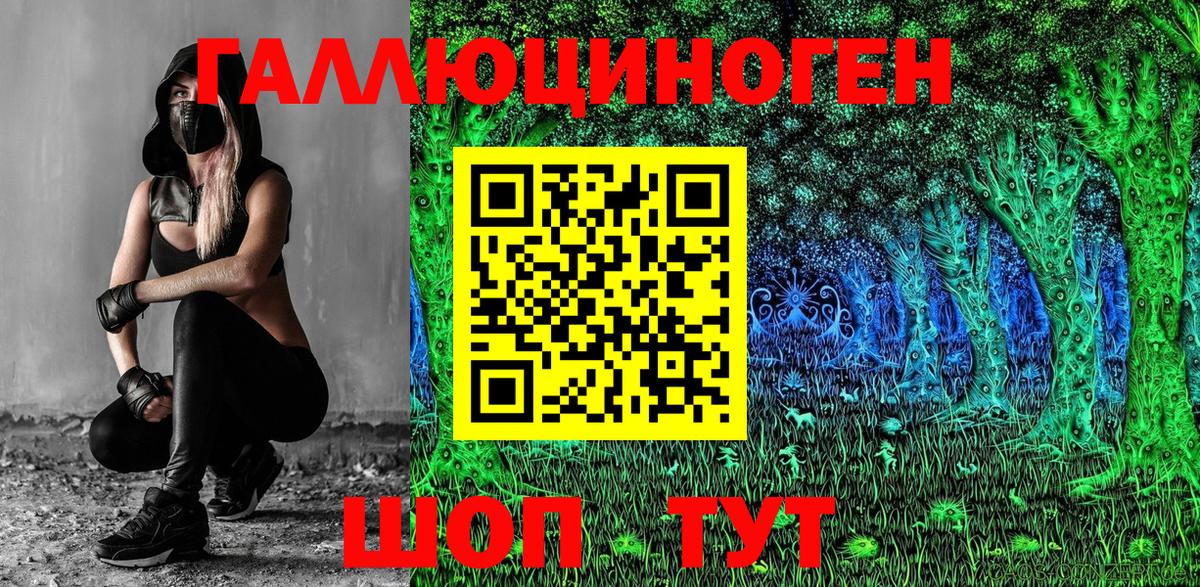 Псилоцибиновые грибы GOLDEN TEACHER Горячий Ключ