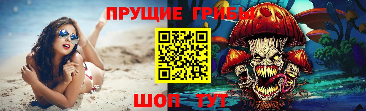 Галлюциногенные грибы Psilocybine cubensis  Вход с VPN  Горячий Ключ 