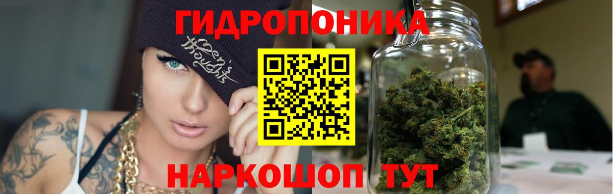 Каннабис OG Kush  Канабис Amnesia  Горячий Ключ  Вход с VPN  Марихуана гибрид 